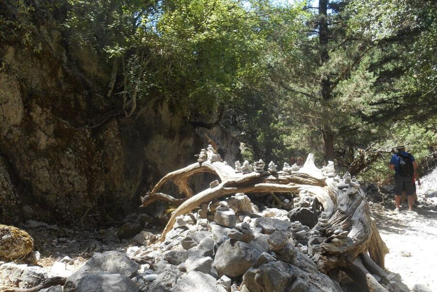 From Rethymno/Chania: Imbros Gorge Hike - Imbros Gorge at a glance