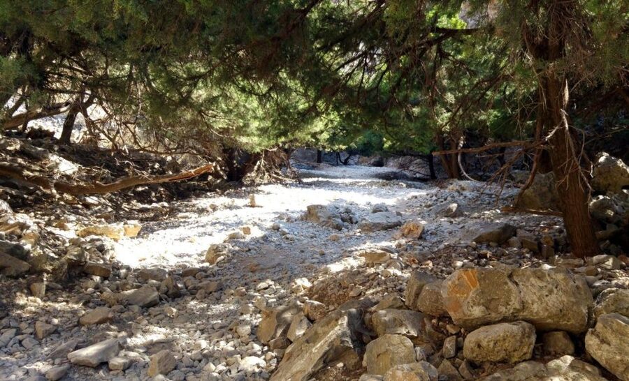 From Rethymno/Chania: Imbros Gorge Hike - Walking through the gorge, one rocky step at a time