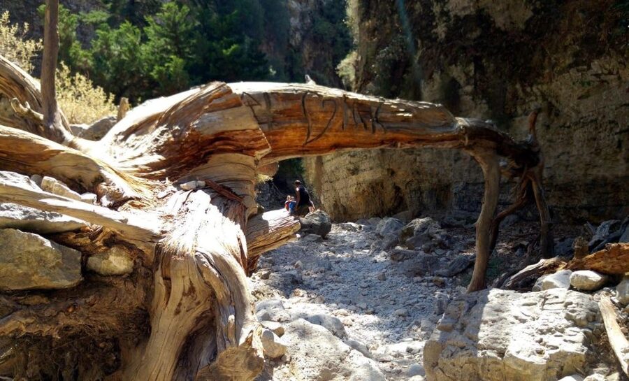From Rethymno/Chania: Imbros Gorge Hike - Komitades and the pause after the hike