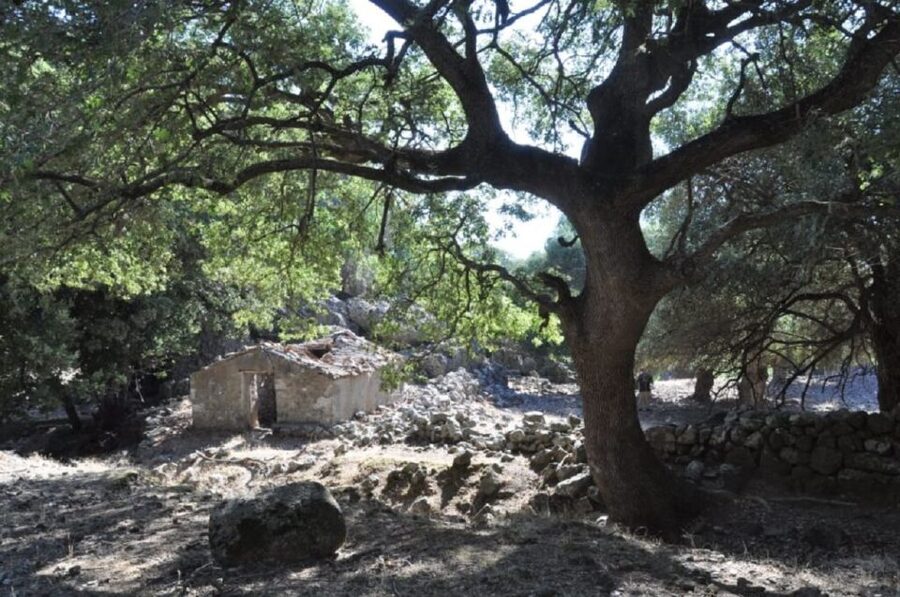 From Rethymno/Chania: Imbros Gorge Hike - Who should book this Imbros Gorge tour?