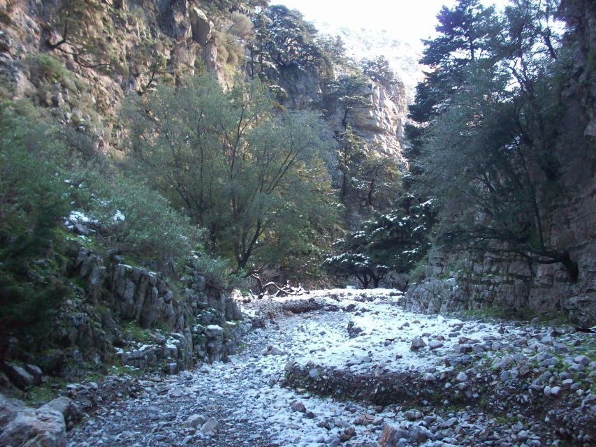 From Rethymno: Imbros Gorge & Libyan Guided Sea Tour - The early pickup from Rethymno