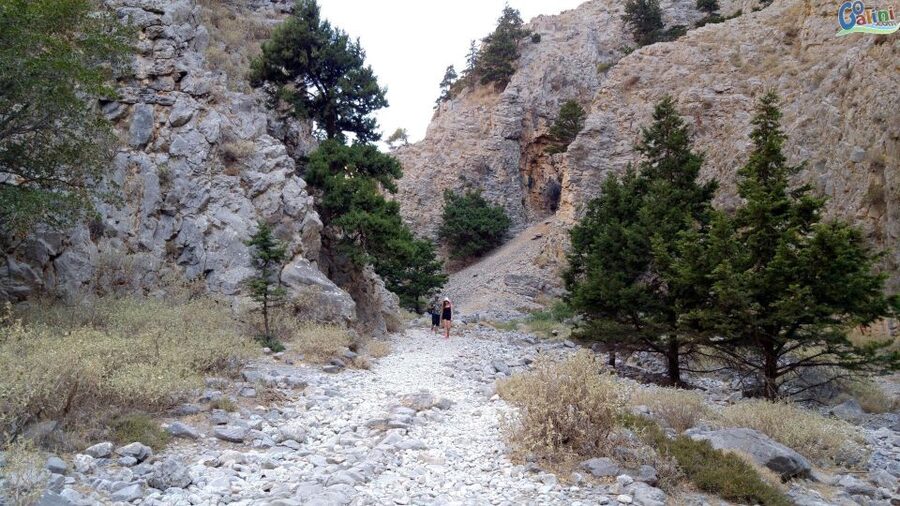 From Rethymno: Imbros Gorge & Libyan Guided Sea Tour - Swimming in the Libyan Sea