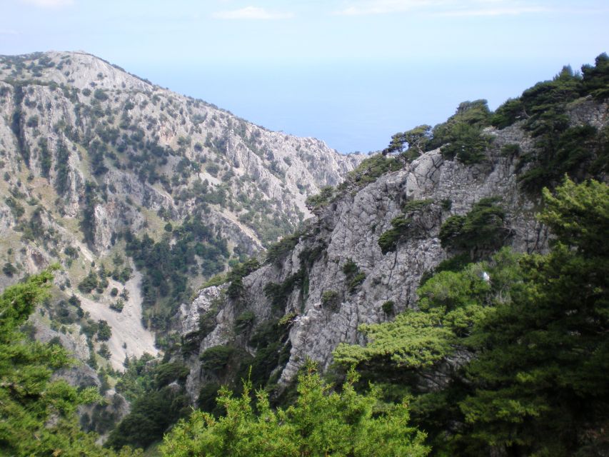 From Rethymno: Imbros Gorge & Libyan Guided Sea Tour - Who will enjoy this day most