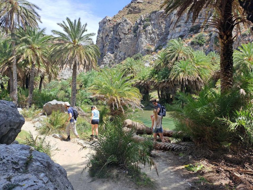 From Rethymno: Kourtaliotiko, Preveli Palm Beach, & Damnoni - Two hours at Damnoni for swimming and lunch