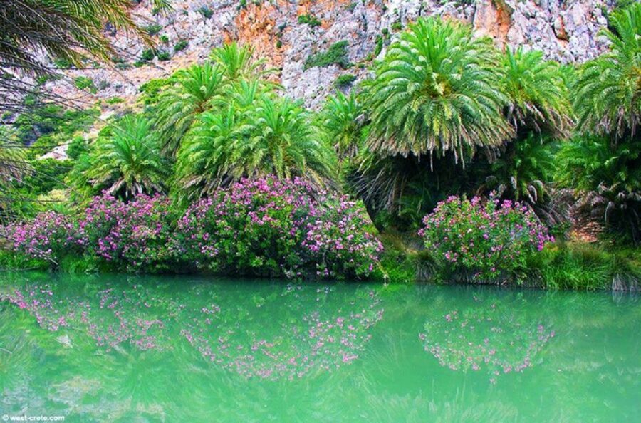 From Rethymno: Preveli Palm Beach and Kourtaliotiko Day Trip - Free Time at the Palm Forest