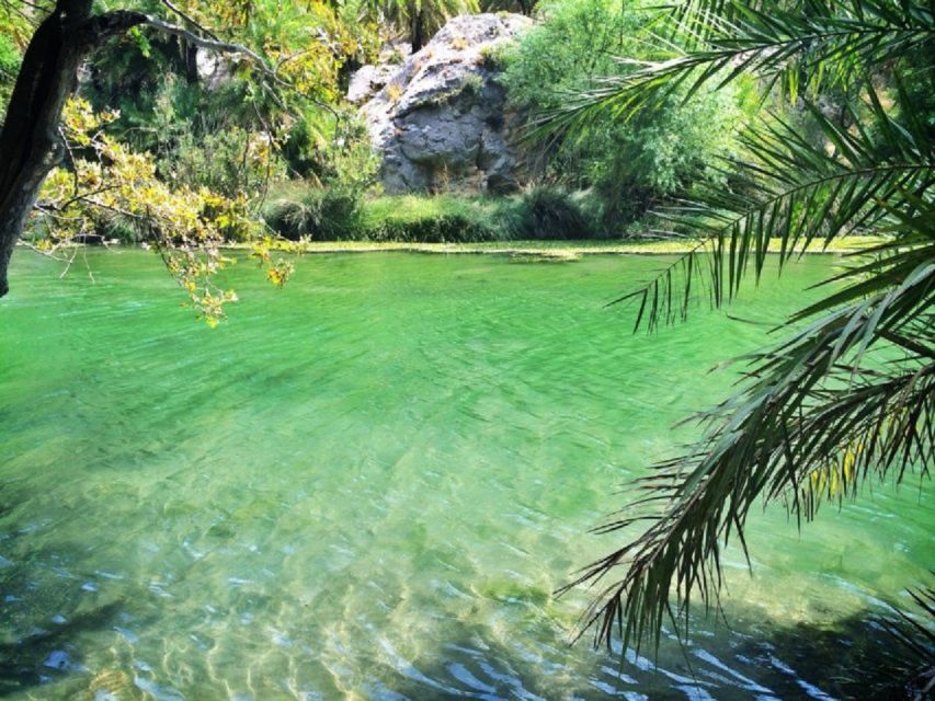 From Rethymno: Preveli Palm Beach and Kourtaliotiko Day Trip - Who Will Enjoy This Excursion Most?