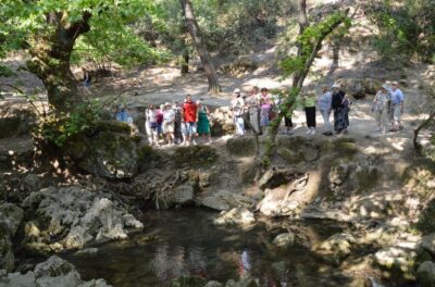 Bus Tour to Lindos and the Seven Springs