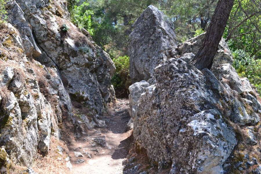 From Rhodes: Lindos and 7 Springs Valley Bus Tour - My verdict: book it for Lindos, treat Seven Springs as a bonus