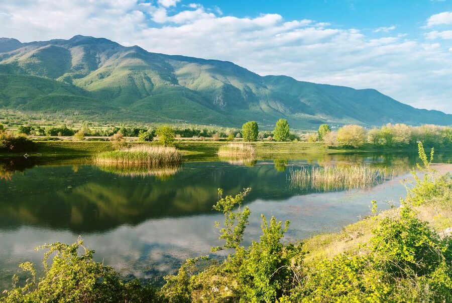 From Thessaloniki: Private Day Trip to Kerkini Lake - Price, extras, and overall value