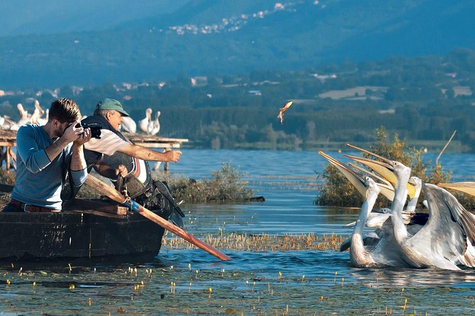 From Thessaloniki: Private Day Trip to Kerkini Lake - Why Lake Kerkini makes a strong day trip from Thessaloniki