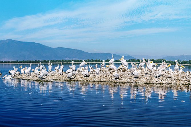 From Thessaloniki: Private Day Trip to Kerkini Lake - Lithotopos Dam, where the lake begins to open up