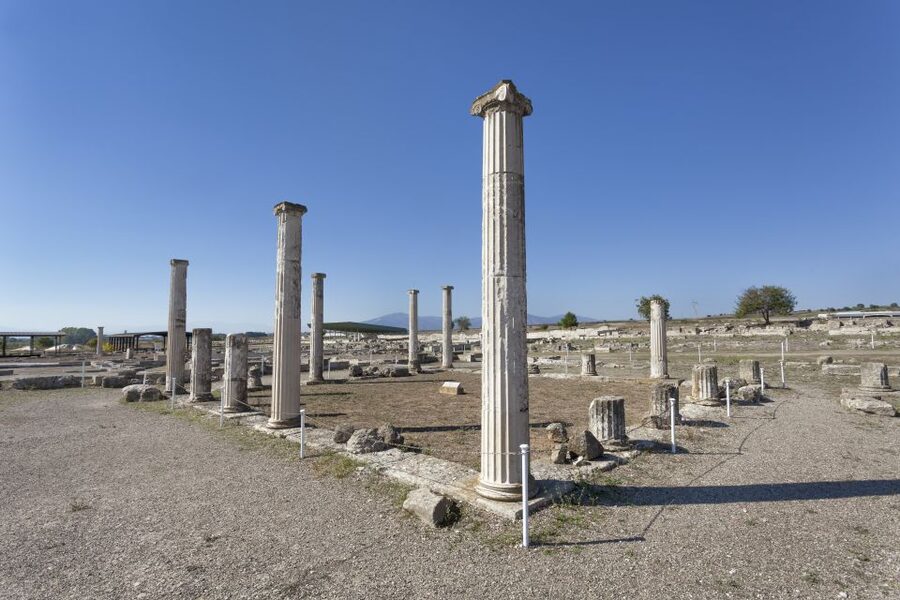 From Thessaloniki: Vergina & Veria Half-Day Tour - The New Museum of Aigai and ancient Macedonian life