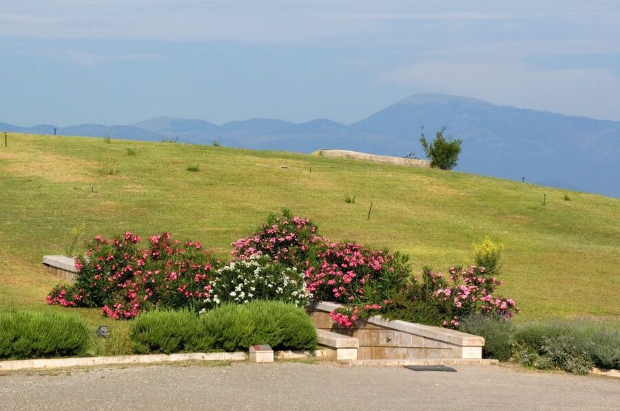 From Thessaloniki: Vergina & Veria Half-Day Tour - The guide and bus can make or break the day