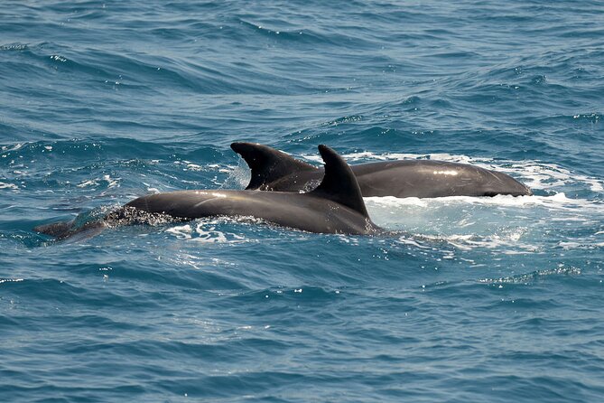 Full Day 3-Island Boat Cruise from Port of Kos - Booking, weather, and cancellation details
