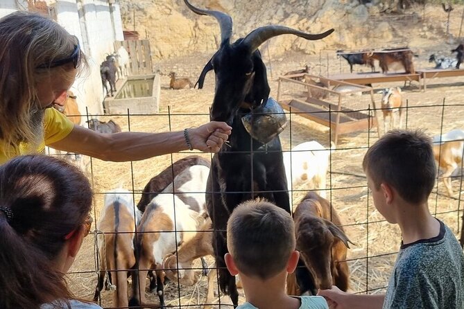 Full Day 4x4 Self-Drive Safari Tour in Crete with BBQ Lunch - The Minoan paths and the 1,200-meter viewpoint