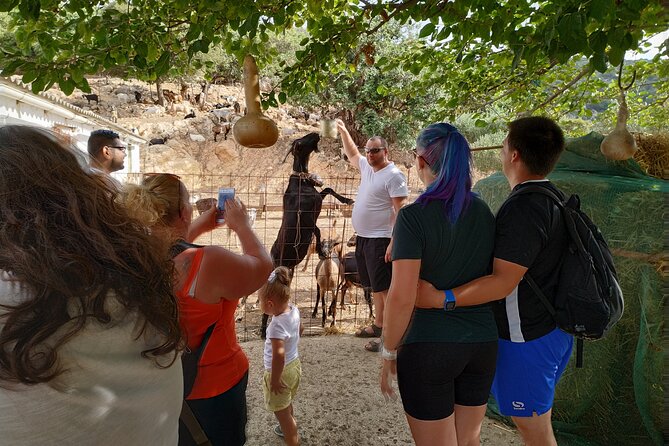Full-Day Jeep Safari Tour with Cooking Lesson - Plati offers a slower village pause