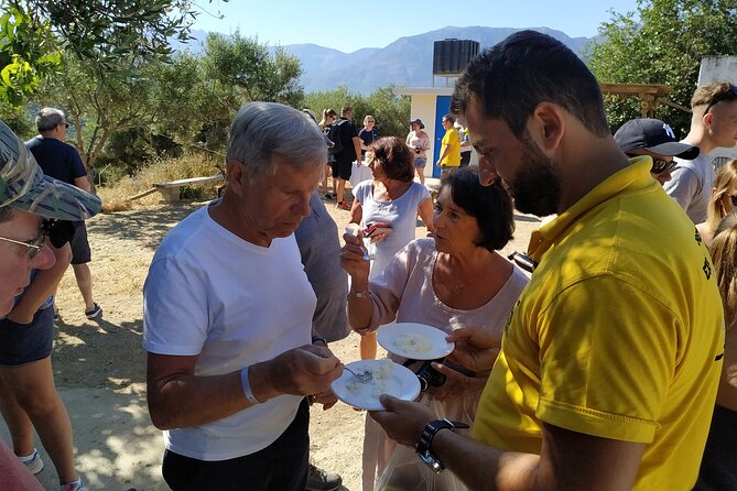 Full-Day Jeep Safari Tour with Cooking Lesson - Krasi delivers the main meal and the oldest plane tree
