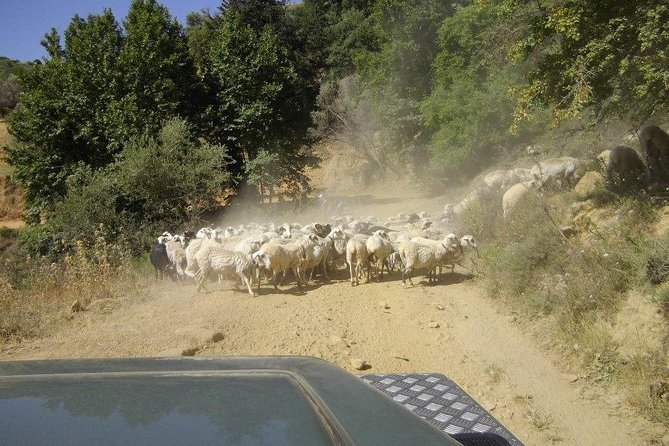 Full-Day Land Rover Safari from Heraklion with Lunch - The Minoan path and the rough-road adventure