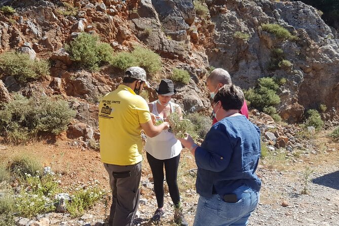Full-Day Small-Group Tour in Crete with Zeus Cave Visit - Lasithi Plateau and its long row of windmills