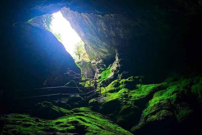 Full-Day Small-Group Tour in Crete with Zeus Cave Visit - Krasi and the 2,000-year-old plane tree