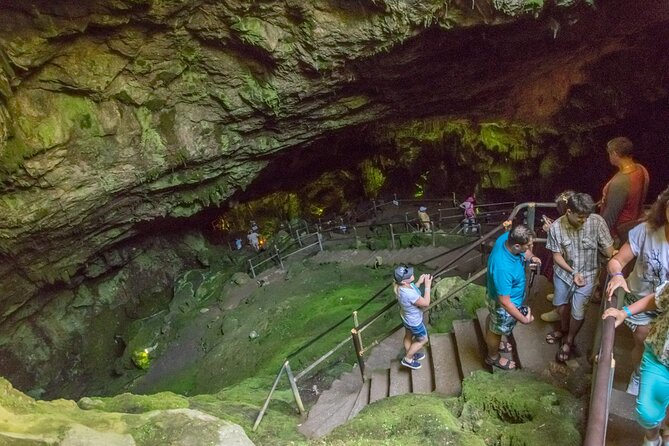 Full-Day Small-Group Tour in Crete with Zeus Cave Visit - Potamies starts the day with Cretan farm life