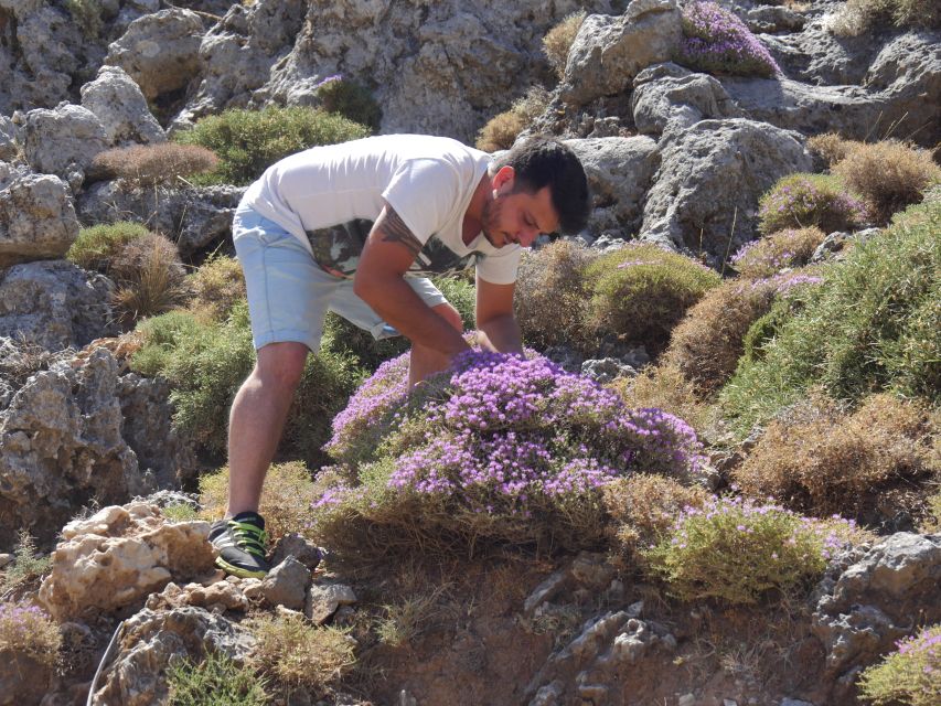 Georgioupolis Full-Day Land Rover Safari Experience - Why this safari shows you a different Crete