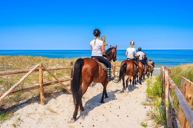Golden Hour Gallop: Evening Ride in Paros - Key points to know before you book