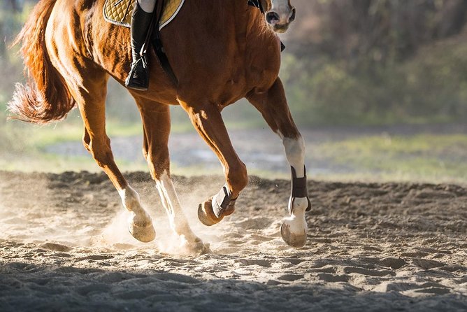 Golden Hour Gallop: Evening Ride in Paros - Riding into Paros’ hills at golden hour