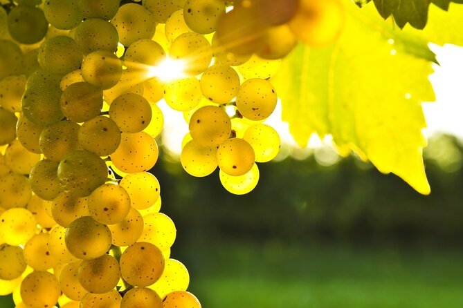 Gourmet Journey: 12-Course Lunch, Wine Tasting & Culinary Session - Timing, group size, and comfort