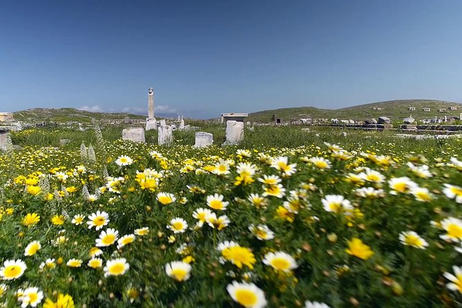 Half-Day Delos Tour from Mykonos - The Hellenistic City and the House of Dionysos