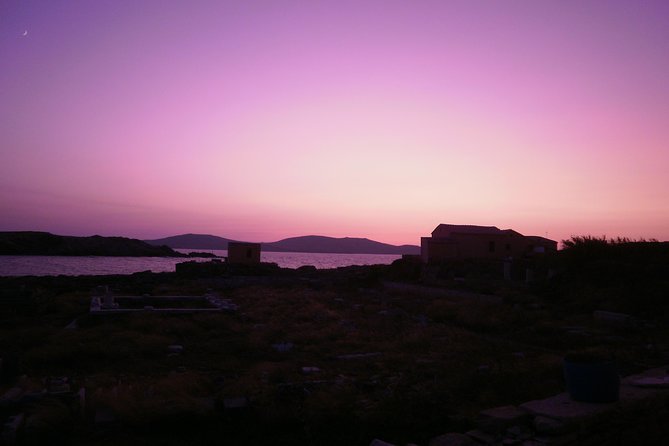 Half-Day Delos Tour from Mykonos - The House of the Trident and Theatre of Delos