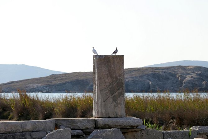 Half-Day Delos Tour from Mykonos - Museum time and the choice between speed and freedom