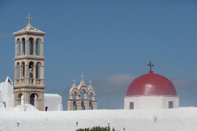 Half-Day Private Guided Tour in Mykonos - Kalo Livadi and the distant beaches