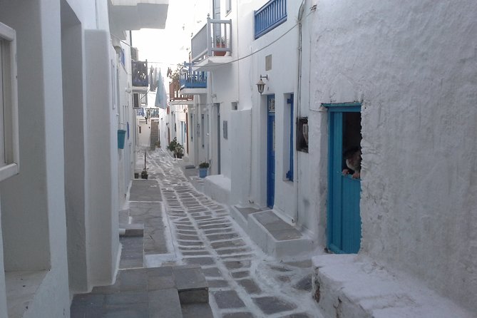 Half-Day Private Guided Tour in Mykonos - Ano Mera and the spinach pie stop