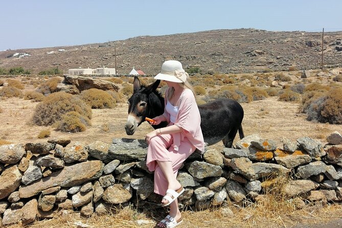 Half-Day Private Guided Tour in Mykonos up to 6 - Agios Ioannis and the drive across the island