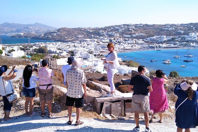 Half-Day Private Guided Tour in Mykonos up to 6 - Kalo Livadi and the eastern beaches