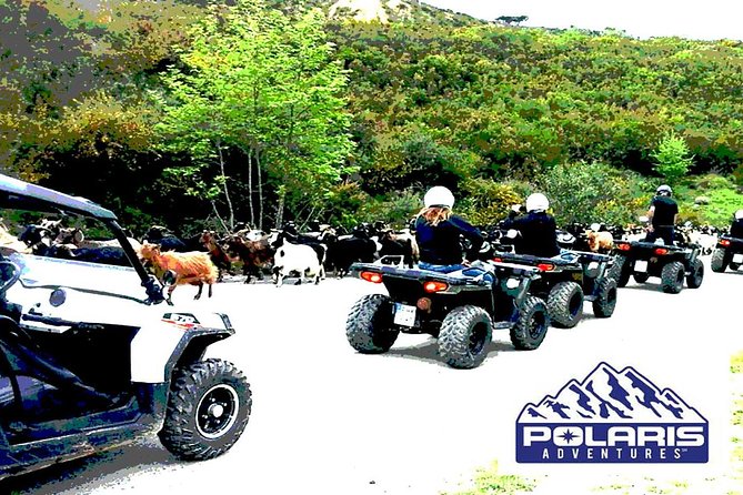 Half-Day Rethymno Quad Safari - What the Driving Actually Feels Like