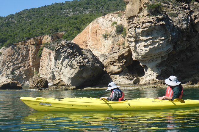 Half Day Tour - The swim stop, snorkeling, and fruit picnic