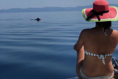 Sithonia Private Full Day Cruise
