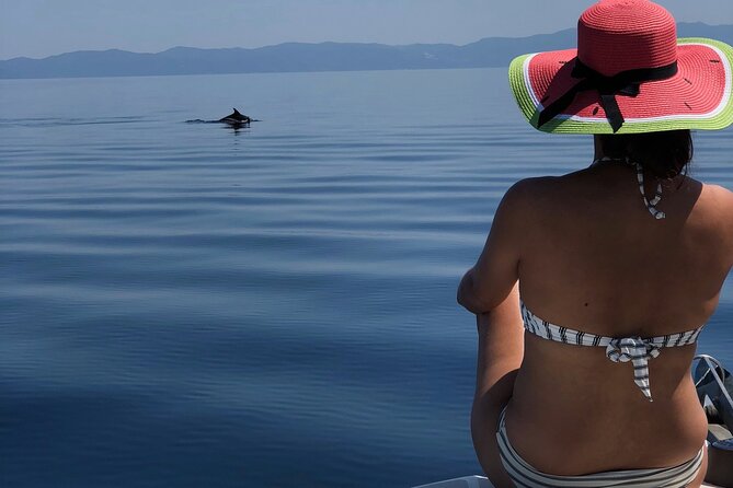 Halkidiki: Sithonia Private Full Day Cruise - Vourvourou Bay and Karydi Beach