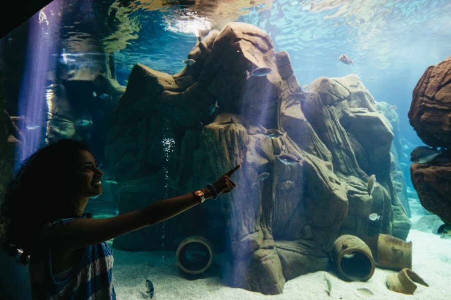 Heraklion Area: CRETAquarium Admission Ticket - Why the research setting matters