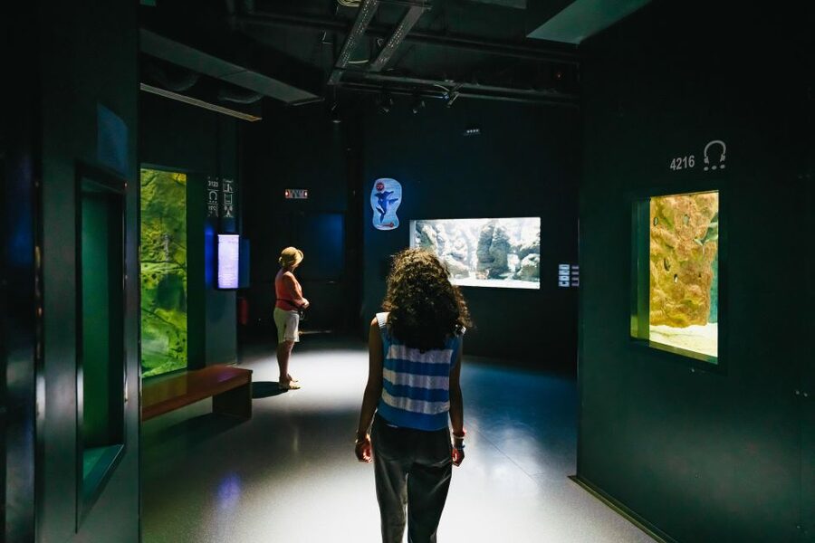 Heraklion Area: CRETAquarium Admission Ticket - Food, parking, and the small extras
