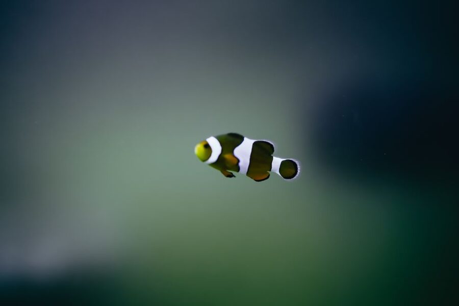 Heraklion Area: CRETAquarium Admission Ticket - Is the $9 ticket good value?