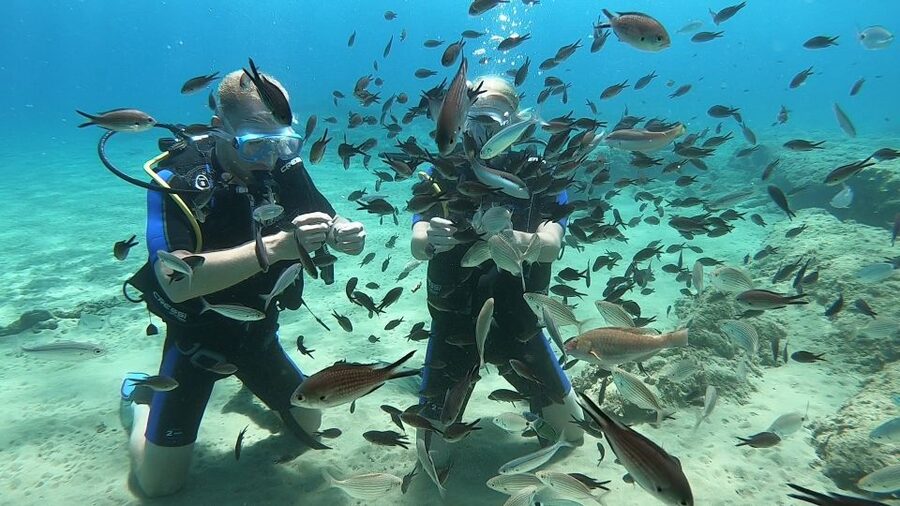 Heraklion: Beginner Scuba Diving Lesson with PADI Instructor - One hour in the sea
