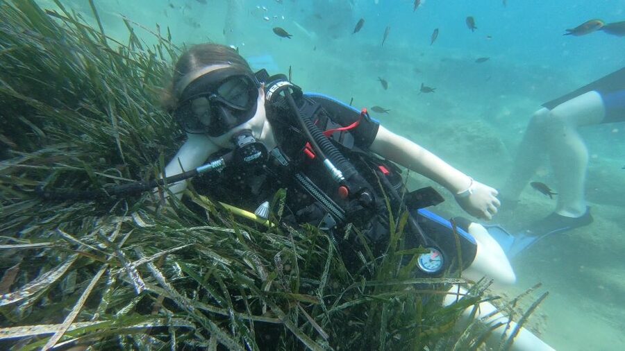 Heraklion: Beginner Scuba Diving Lesson with PADI Instructor - How the instructors handle nerves
