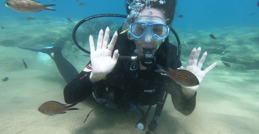 Heraklion: Beginner Scuba Diving Lesson with PADI Instructor - The welcome, classroom, and equipment practice