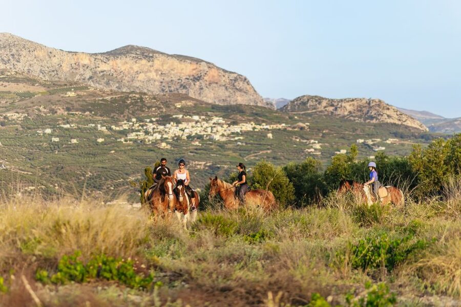 Heraklion: Finikia Horse Riding Tour with Lunch or Dinner - Key points before you saddle up