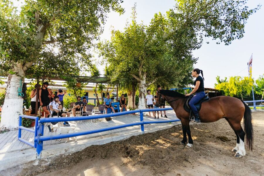 Heraklion: Finikia Horse Riding Tour with Lunch or Dinner - What to bring and what to clarify