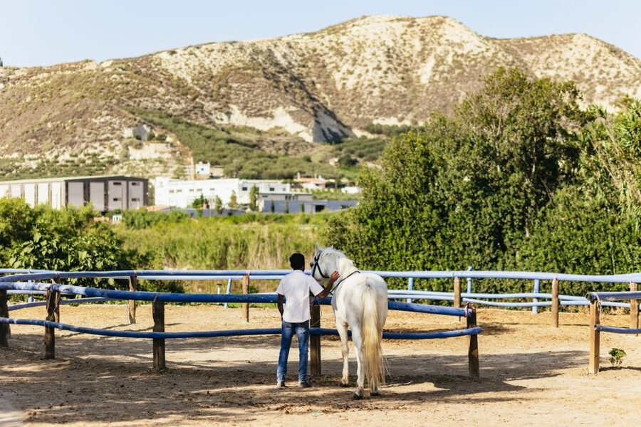 Heraklion: Finikia Horse Riding Tour with Lunch or Dinner - Why this Finikia ride feels different