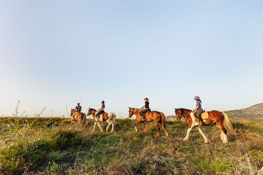 Heraklion: Finikia Horse Riding Tour with Lunch or Dinner - Morning or afternoon: choosing the right slot